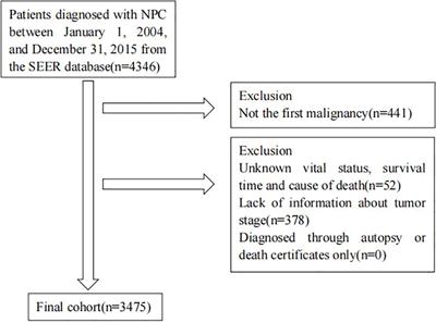 Cause of death during nasopharyngeal carcinoma survivorship: a population-based analysis